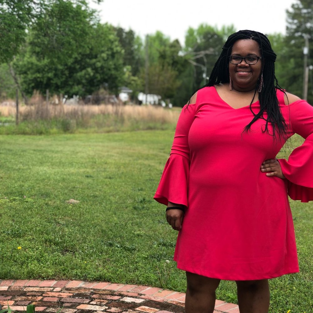 Lane Bryant Pink Plus Size Dress - Size 16